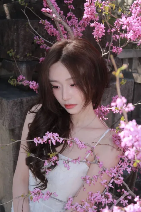 D862