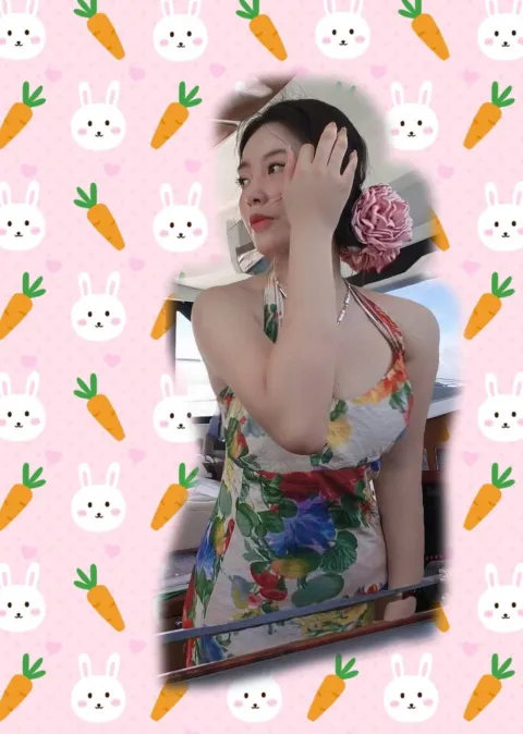 E529