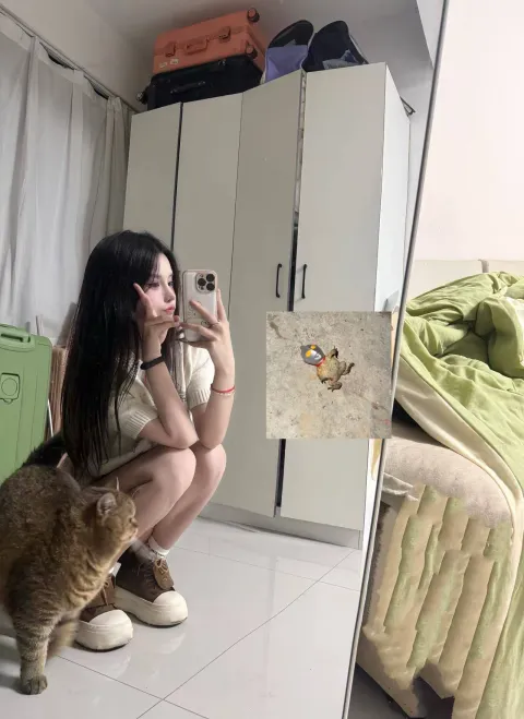 G884