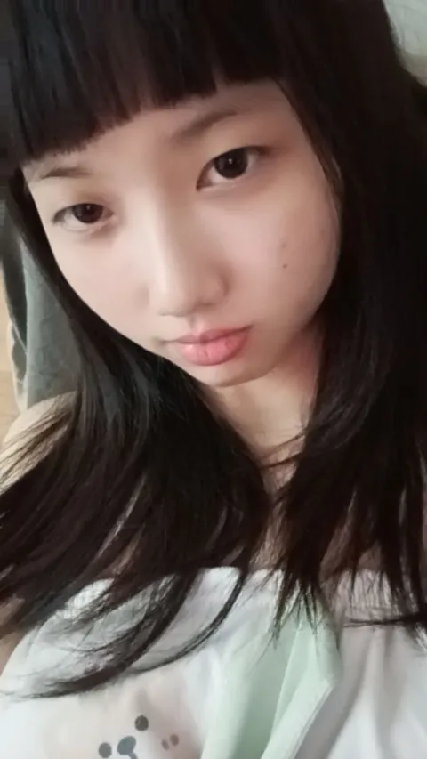 H333